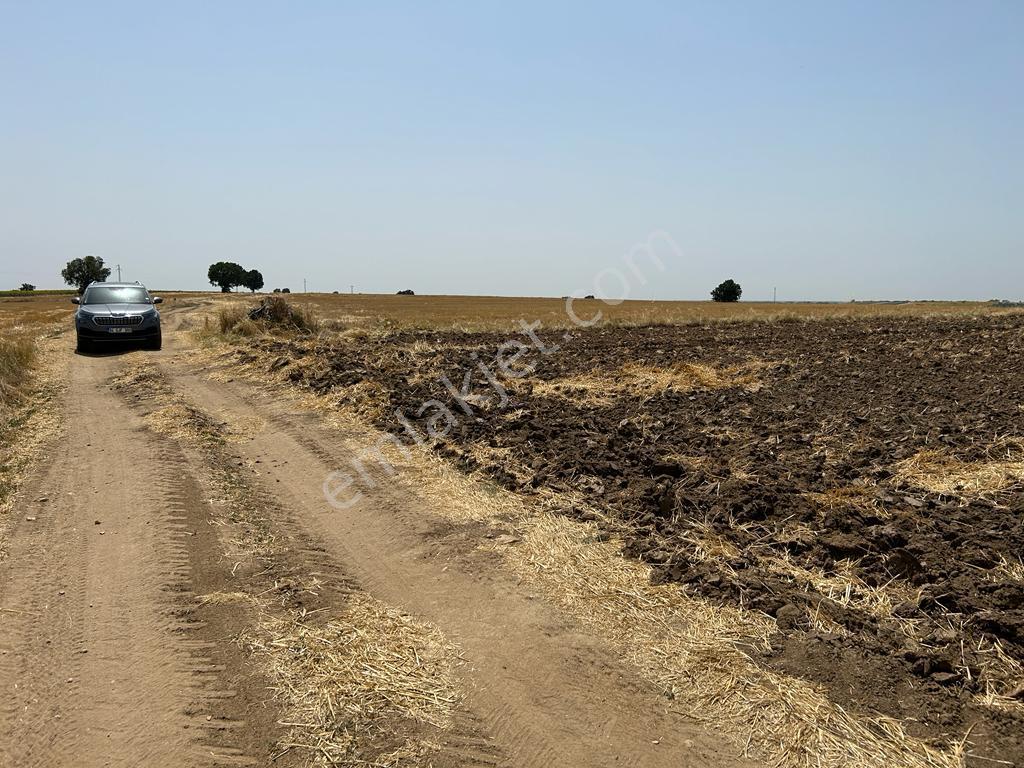 Dolhan Köyü 21493 M2 Resmi Yolu Olan Asfalta Köye Yakın Satılık Tarla - Görsel 3