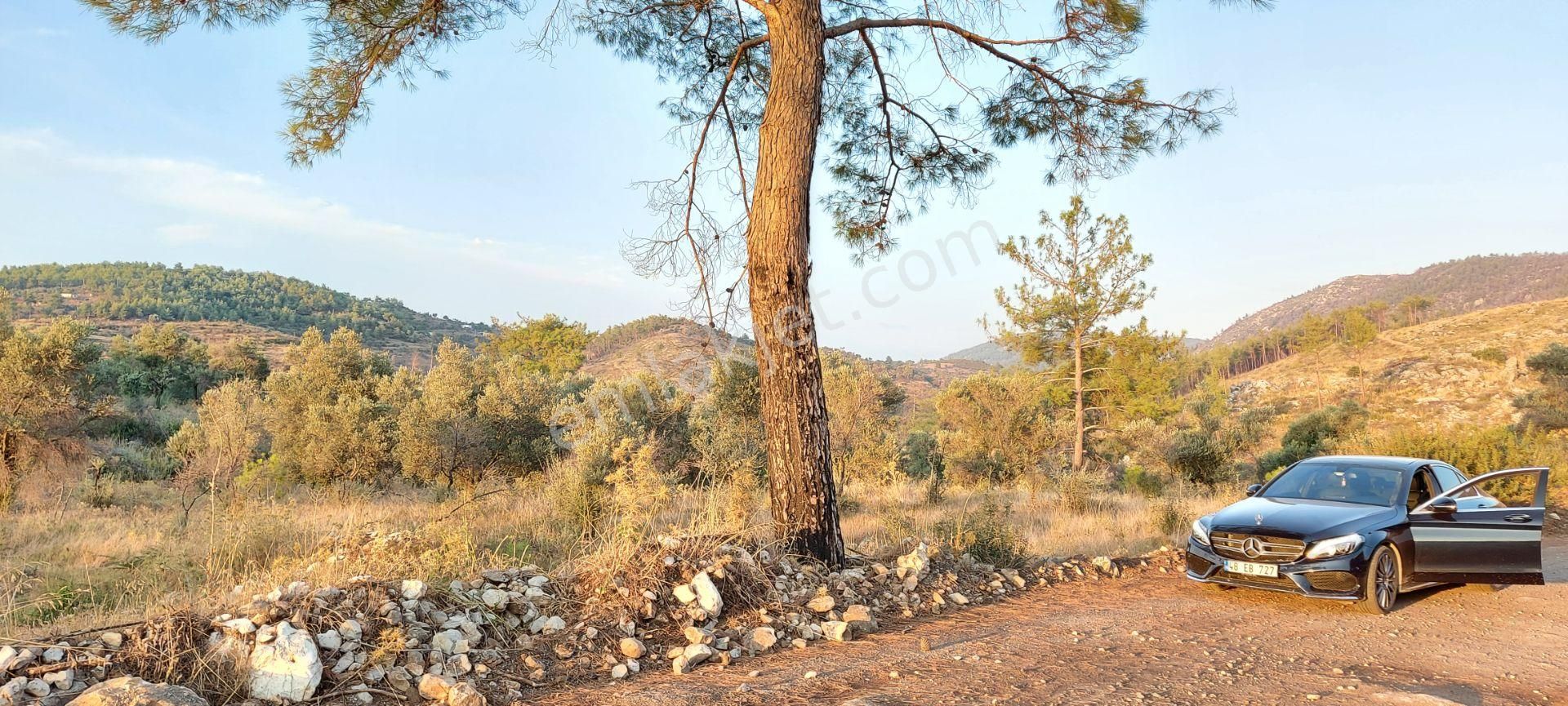 Yerleşimin Başladığı Doğal Yaşam Alanında Fırsat Tek Tapu Arazi - Görsel 18