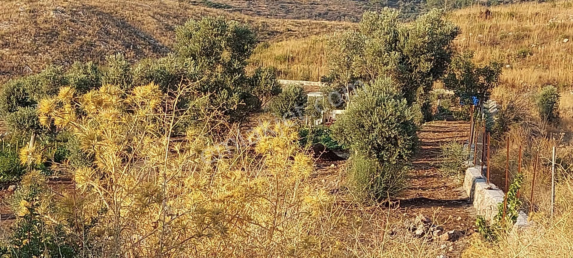 Yerleşimin Başladığı Doğal Yaşam Alanında Fırsat Tek Tapu Arazi - Görsel 7