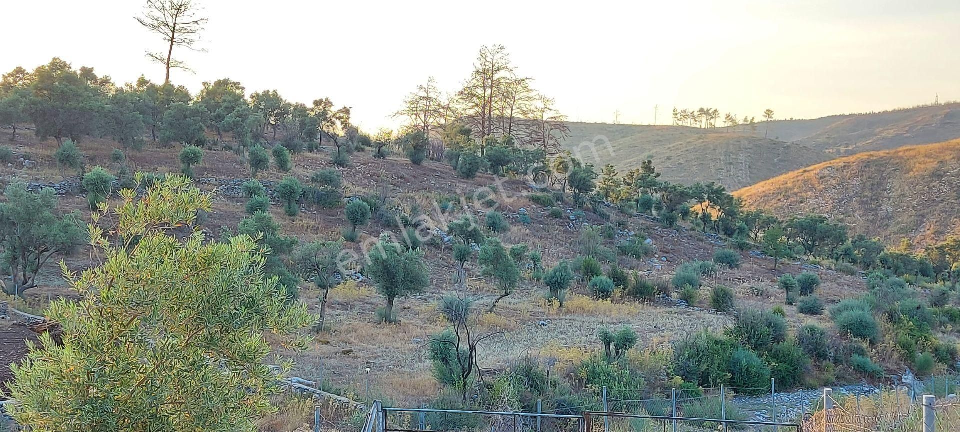 Yerleşimin Başladığı Doğal Yaşam Alanında Fırsat Tek Tapu Arazi - Görsel 12