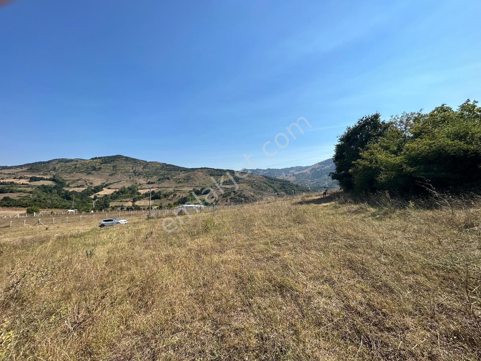 Kocaeli Karamürsel Kızderbent'de 1949 M2 Satılık Tarla - Görsel 8