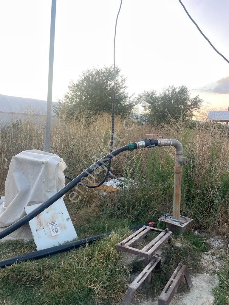 Antalya Elmalı Bayralar Mah'de 2 Adet Sondaj, Elektriği, Yolu Ve Evi Bulunan 12.000m2 Satılık Sera - Görsel 5