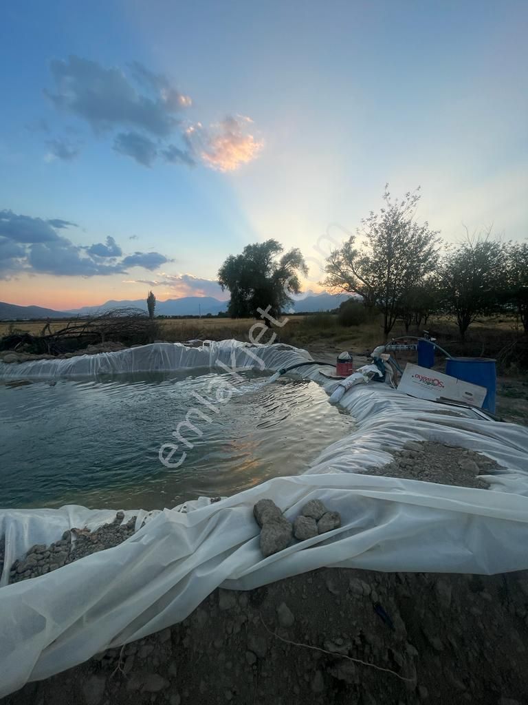 Antalya Elmalı Bayralar Mah'de 2 Adet Sondaj, Elektriği, Yolu Ve Evi Bulunan 12.000m2 Satılık Sera - Görsel 6