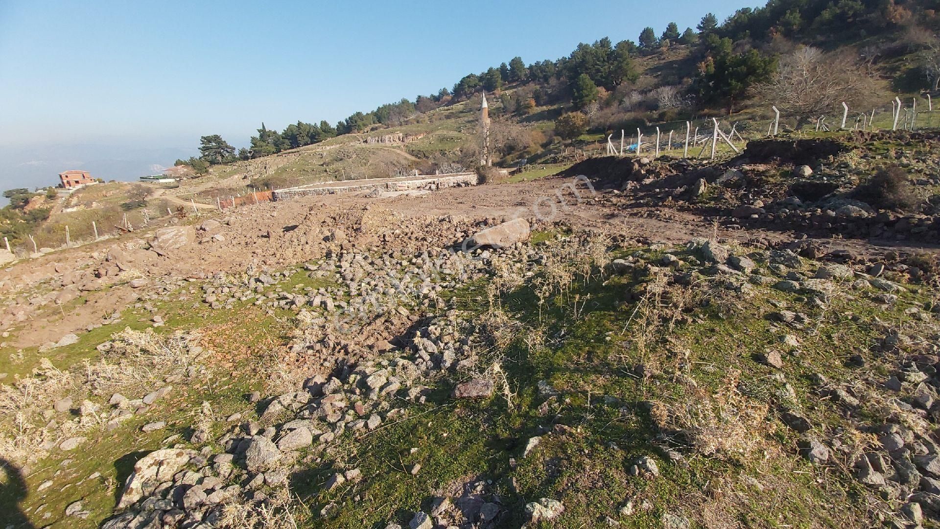 Eryılmaz Gayrimenkul'den Balıkesir Havran Kocadağ'da 583 M2 Full Deniz Manzaralı Satılık Bahçe - Görsel 16