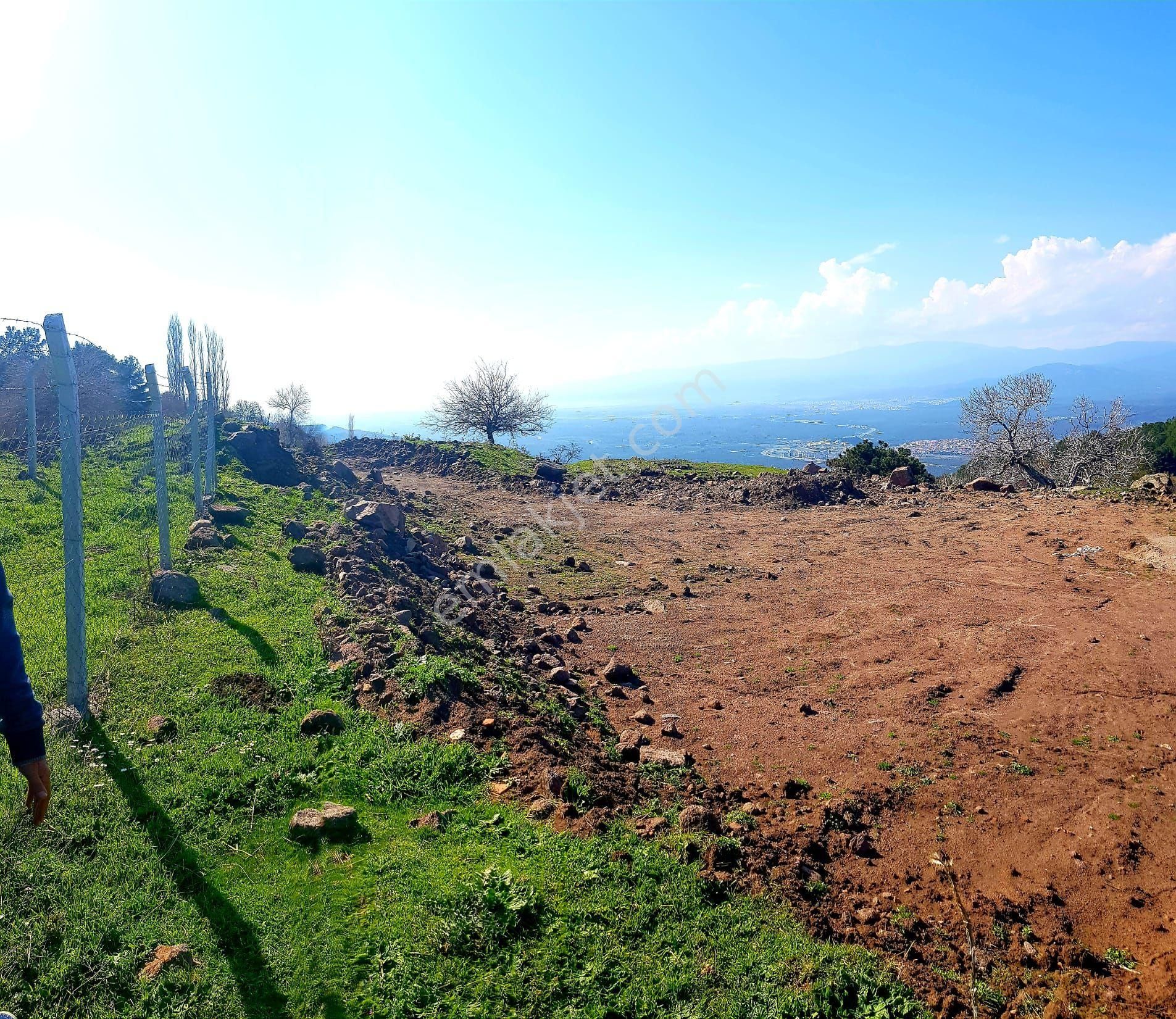 Eryılmaz Gayrimenkul'den Balıkesir Havran Kocadağ'da 583 M2 Full Deniz Manzaralı Satılık Bahçe - Görsel 13