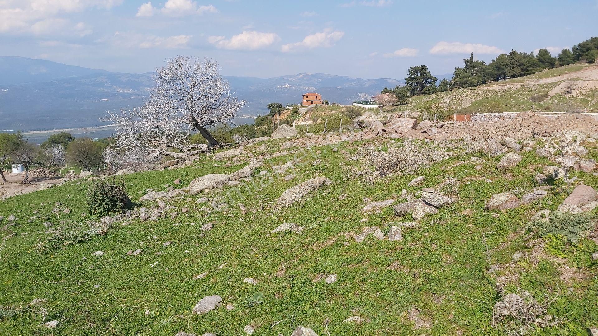 Eryılmaz Gayrimenkul'den Balıkesir Havran Kocadağ'da 583 M2 Full Deniz Manzaralı Satılık Bahçe - Görsel 23