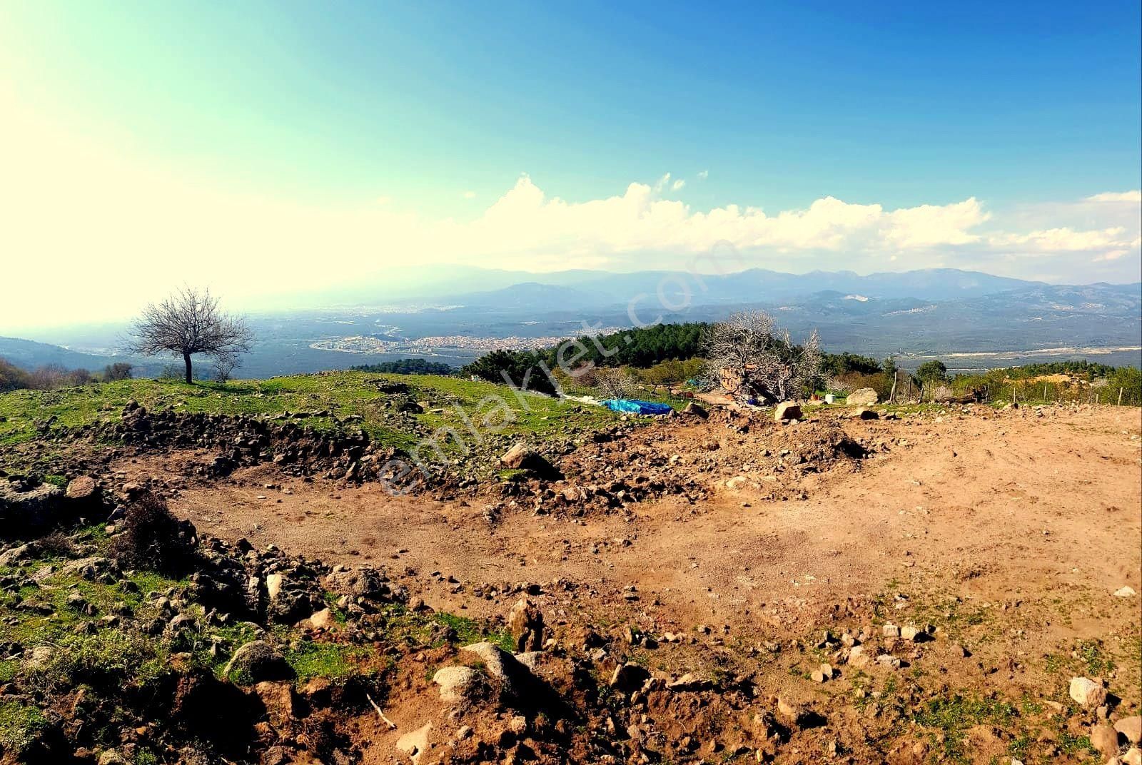 Eryılmaz Gayrimenkul'den Balıkesir Havran Kocadağ'da 583 M2 Full Deniz Manzaralı Satılık Bahçe - Görsel 10