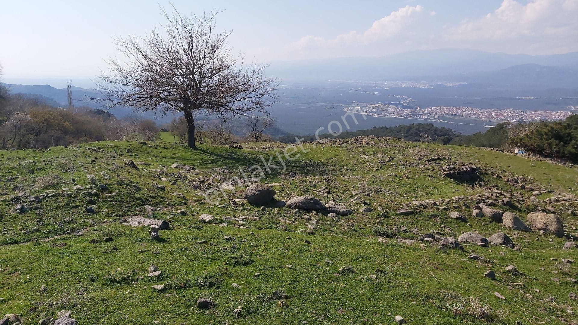 Eryılmaz Gayrimenkul'den Balıkesir Havran Kocadağ'da 583 M2 Full Deniz Manzaralı Satılık Bahçe - Görsel 22