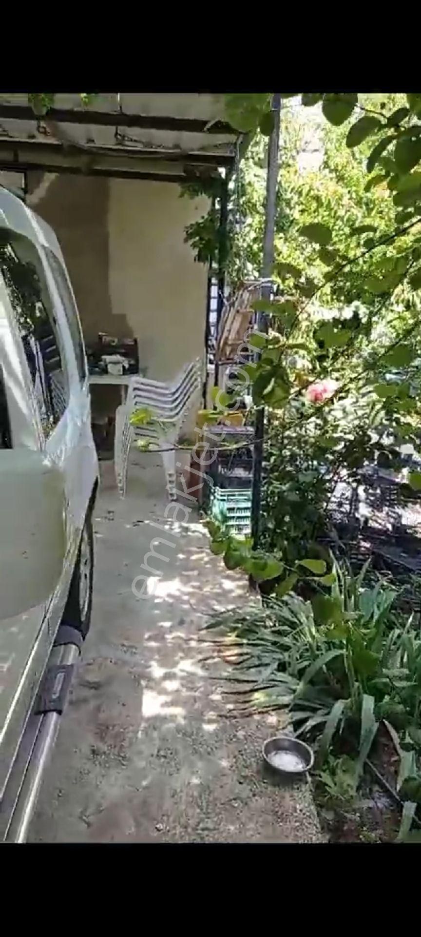 İçinde Evi Olan Bakımlı Meyve Bahçesi Kemalpaşa Ören - Görsel 22