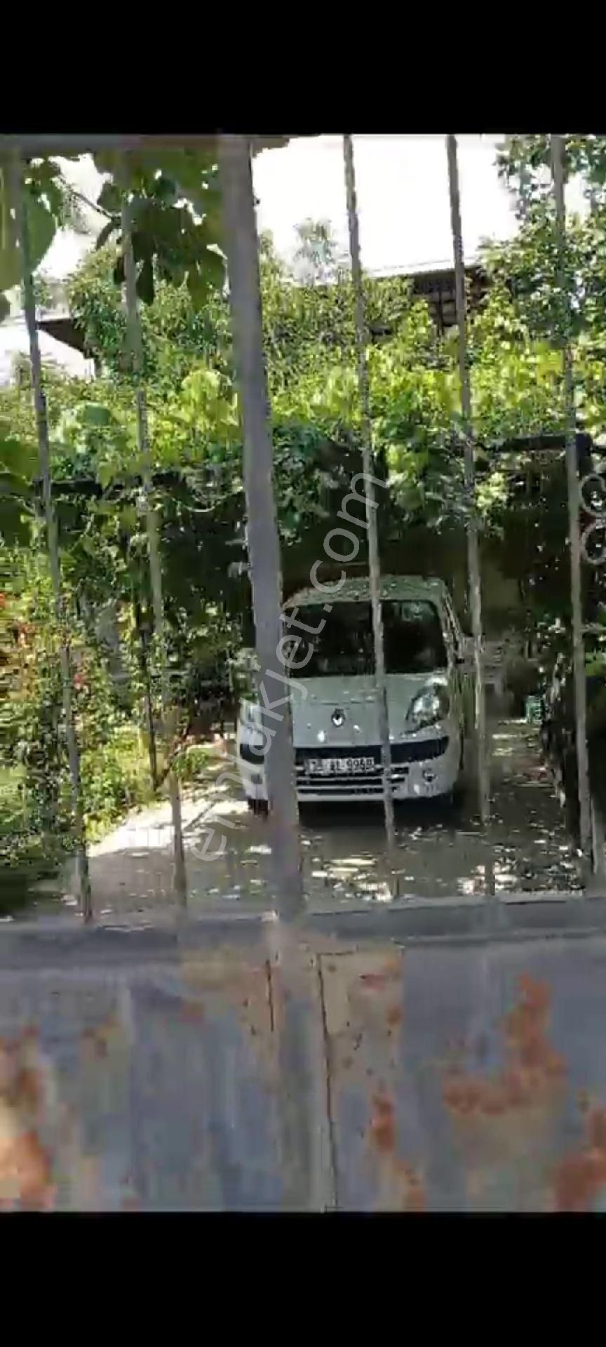 İçinde Evi Olan Bakımlı Meyve Bahçesi Kemalpaşa Ören - Görsel 19