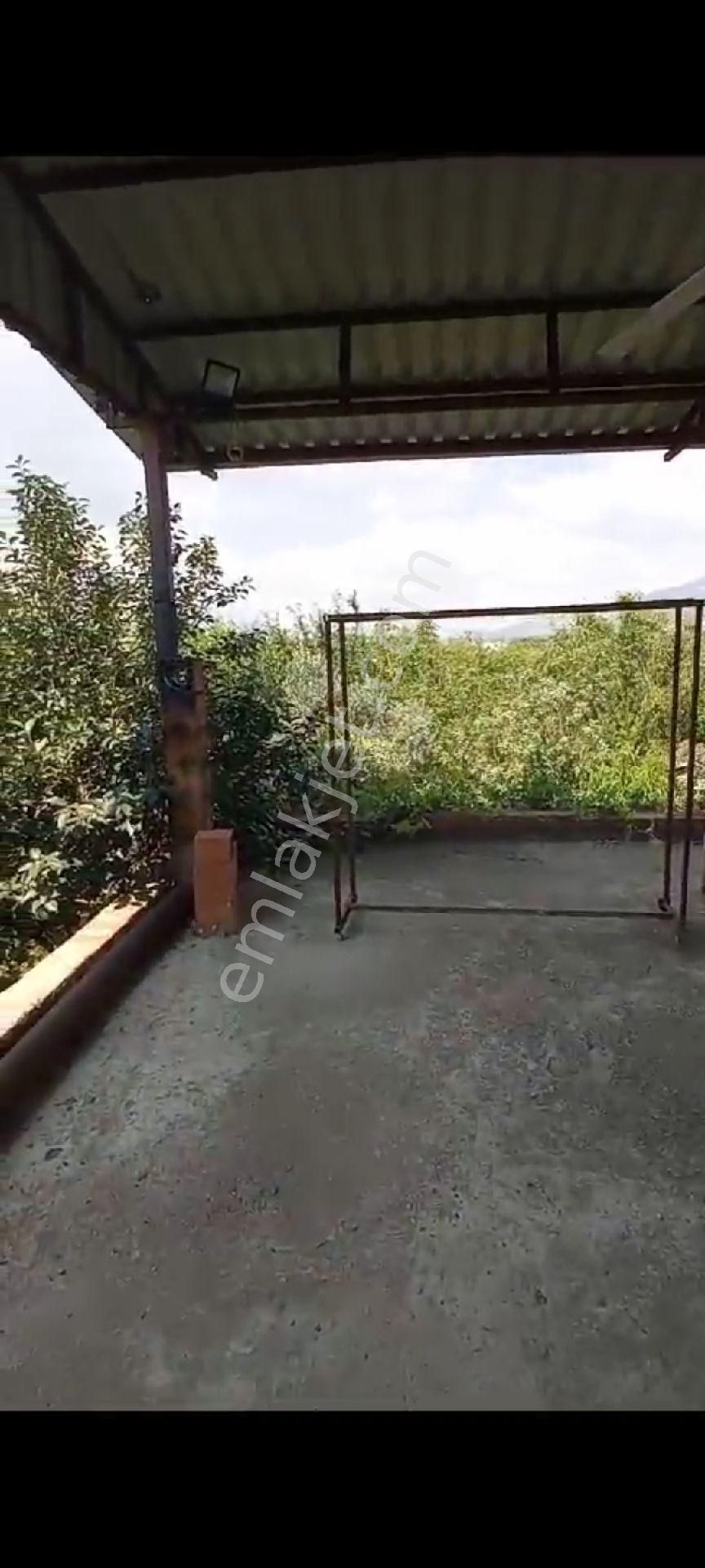 İçinde Evi Olan Bakımlı Meyve Bahçesi Kemalpaşa Ören - Görsel 10