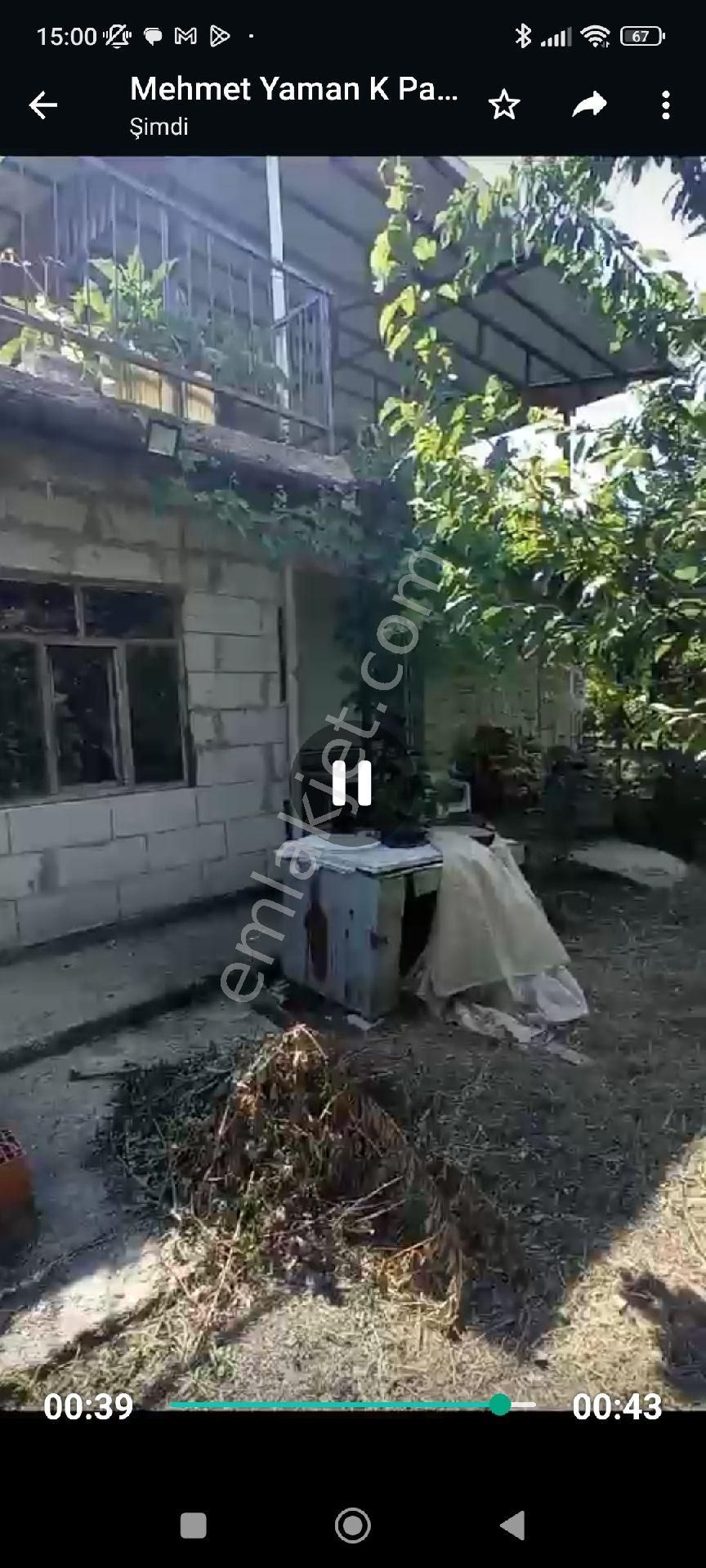 İçinde Evi Olan Bakımlı Meyve Bahçesi Kemalpaşa Ören - Görsel 30