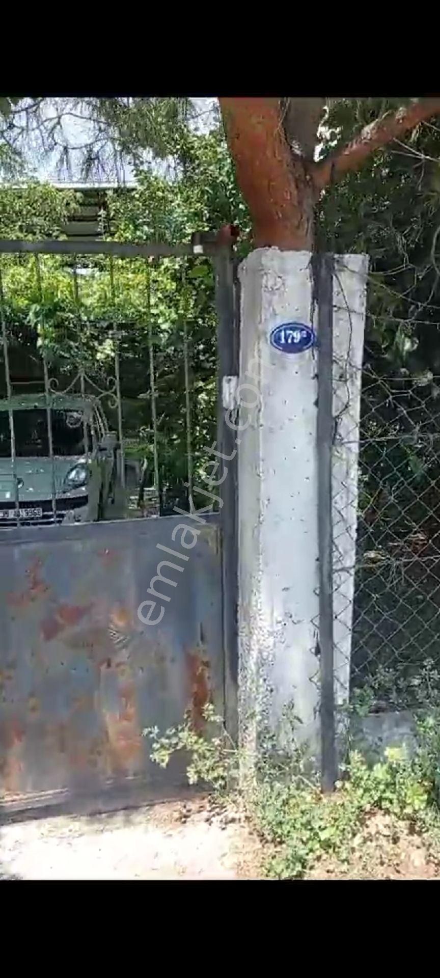 İçinde Evi Olan Bakımlı Meyve Bahçesi Kemalpaşa Ören - Görsel 18