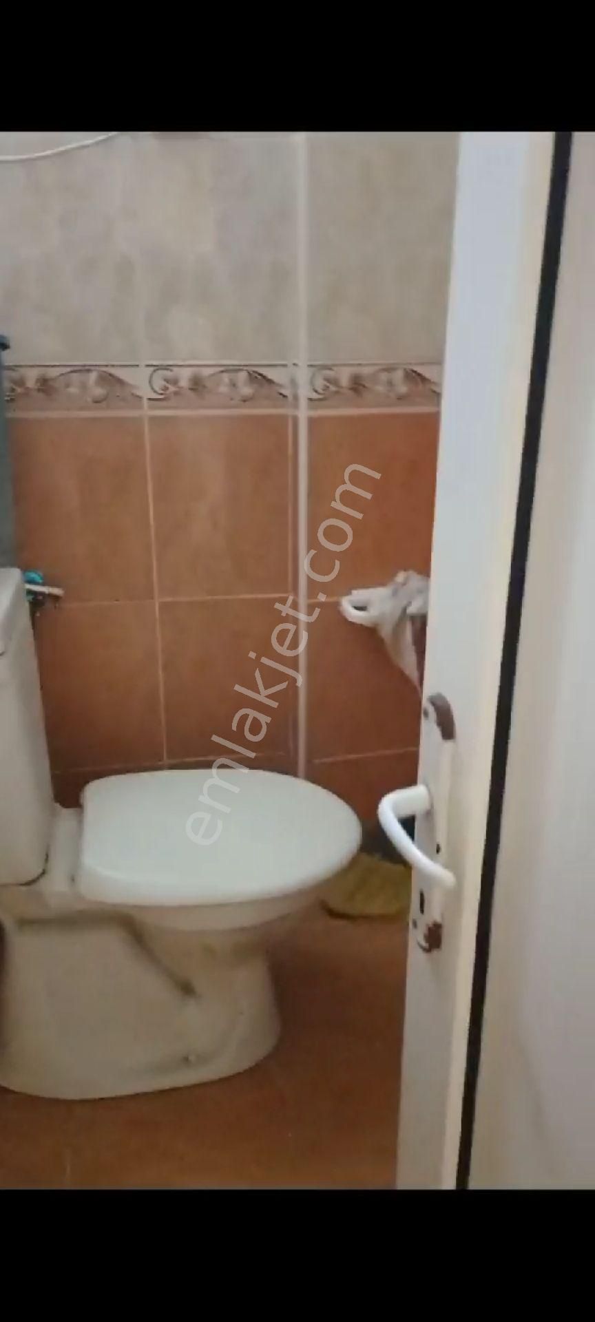 İçinde Evi Olan Bakımlı Meyve Bahçesi Kemalpaşa Ören - Görsel 13