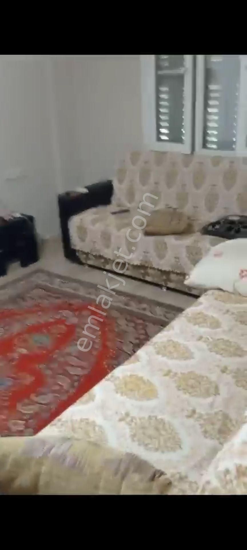 İçinde Evi Olan Bakımlı Meyve Bahçesi Kemalpaşa Ören - Görsel 14