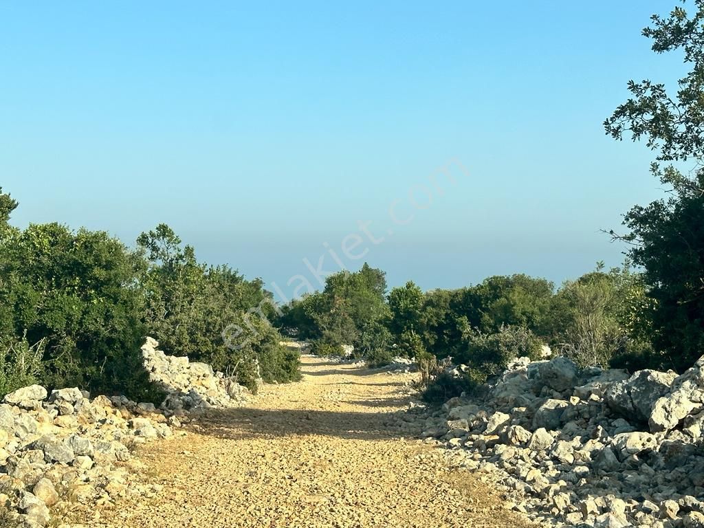 Silifke Narlıkuyu Satılık Tarla Narlıkuyu Hasanaliler De Satılık Deniz Manzaralı Arazi