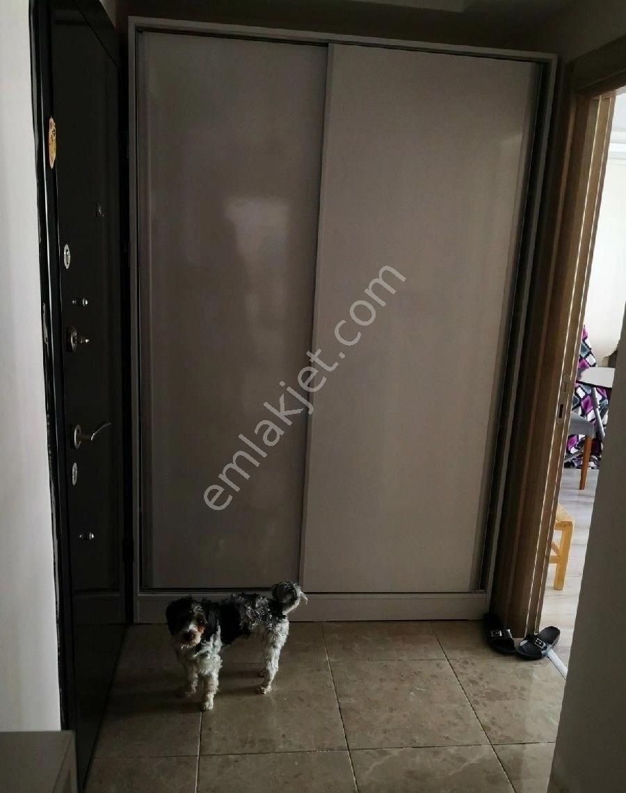 https://imaj.emlakjet.com/listing/13852990/2F01BFE8ED47916EFAE8E343CFCAB92013852990.jpg
