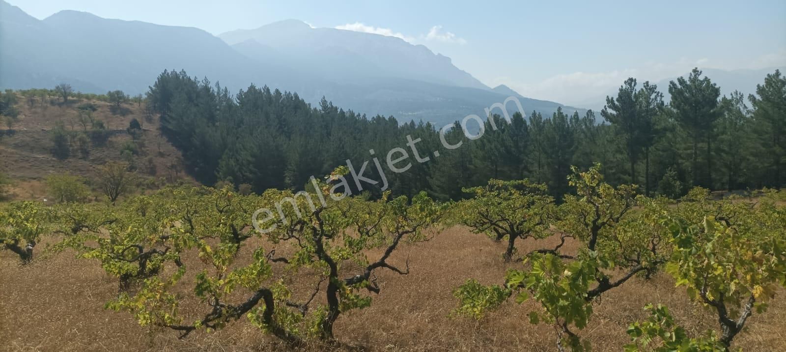 Pozantı Kar Emlaktan Alpu Yaylasında Satılık 445m2 Arsa - Görsel 5