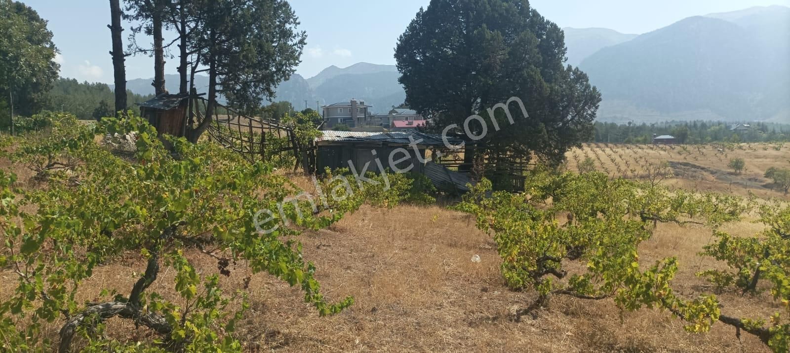 Pozantı Kar Emlaktan Alpu Yaylasında Satılık 445m2 Arsa - Görsel 3