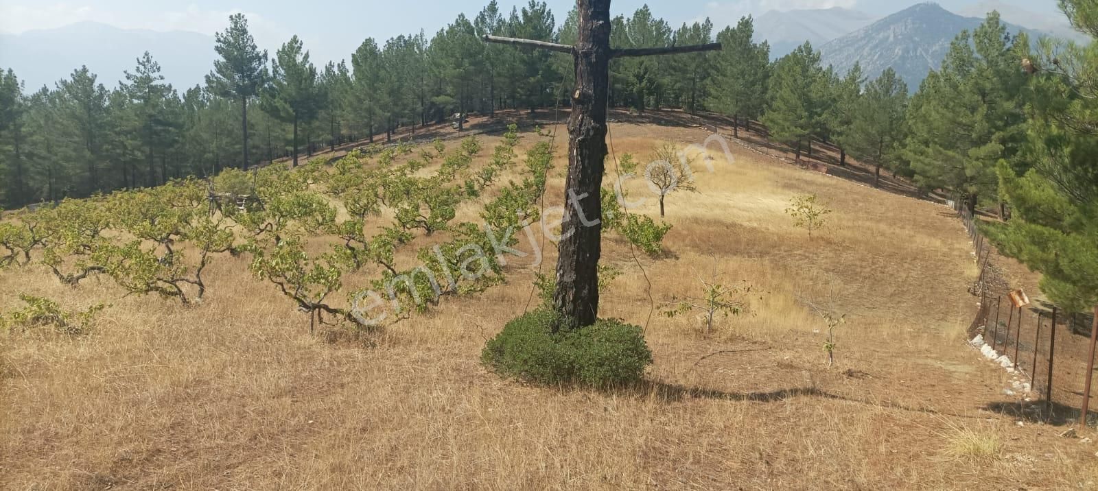 Pozantı Kar Emlaktan Alpu Yaylasında Satılık 445m2 Arsa - Görsel 4