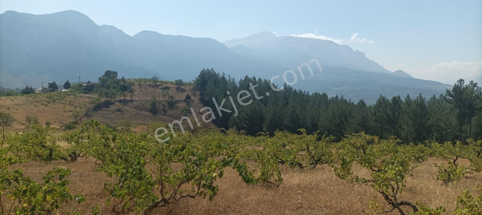 Pozantı Kar Emlaktan Alpu Yaylasında Satılık 445m2 Arsa