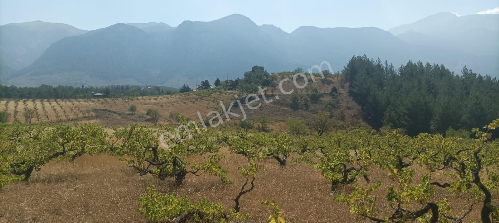 Pozantı Kar Emlaktan Alpu Yaylasında Satılık 445m2 Arsa - Görsel 6