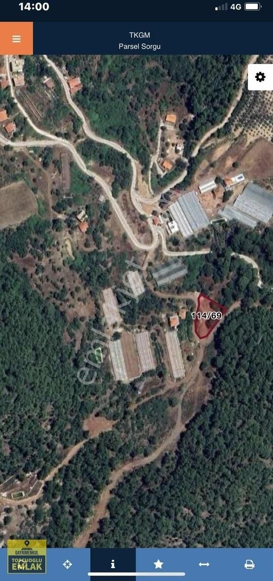 Antalya Çıralı Yazır Mahallesinde.1640 Metrekare.acil - Görsel 4
