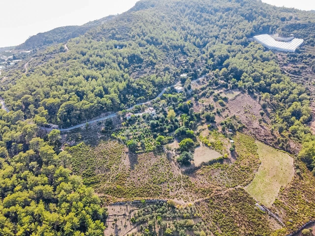 Alanya İsbatlı Satılık Bağ & Bahçe Antalya Alanya Isbatlı Mahallesi Satılık Arsa Ev Yapımına Uygun