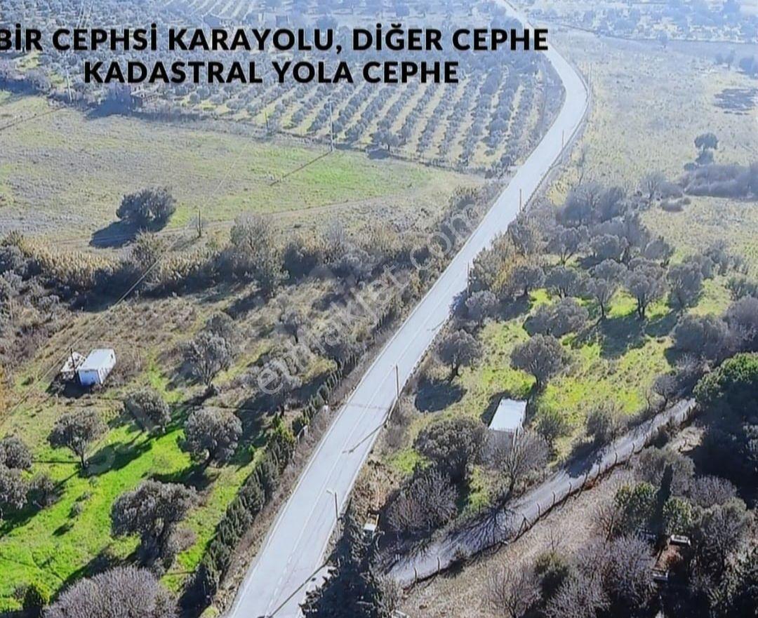 Rose Emlak 'tan Satılık,villa,ticari,çiftlik, Çok Amaçlı Kupon Arazi
