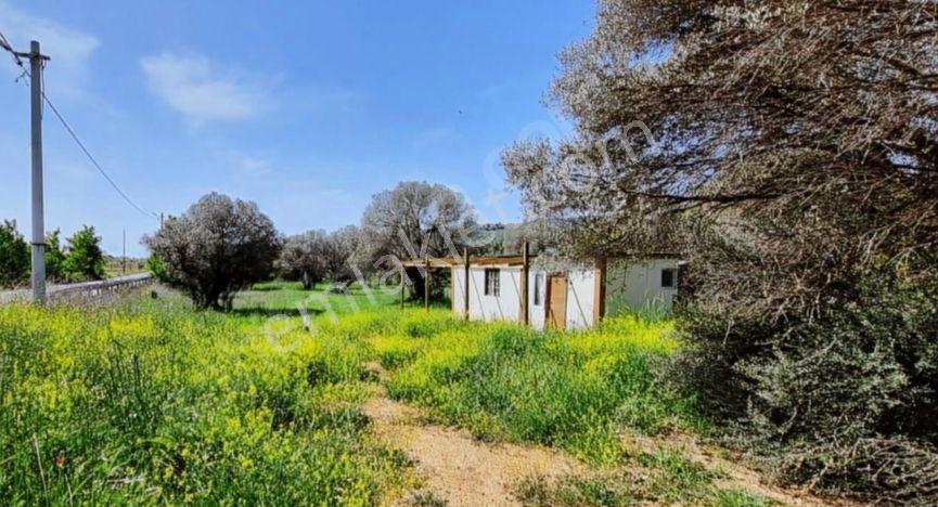 Rose Emlak 'tan Satılık,villa,ticari,çiftlik, Çok Amaçlı Kupon Arazi - Görsel 31
