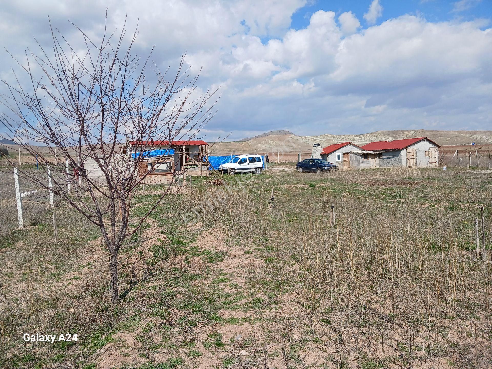 Ayaş Gökler Satılık Tarla ÇITIRIK'TAN TEK TAPU ETRAFI ÇEVRİLİ  YAPISI OLAN GÖKLERDE TARLA  9 DÖNÜM MANDIRA ,HAYVANCILIK OLUR  