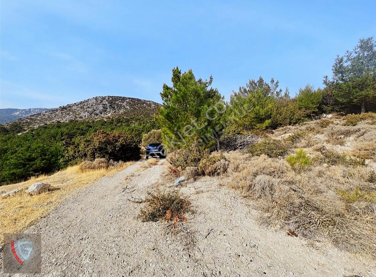 Karaburun Mordoğan Satılık Tarla Vizyondan Önü Kapanmaz Ful Deniz Manazaralı Tarla