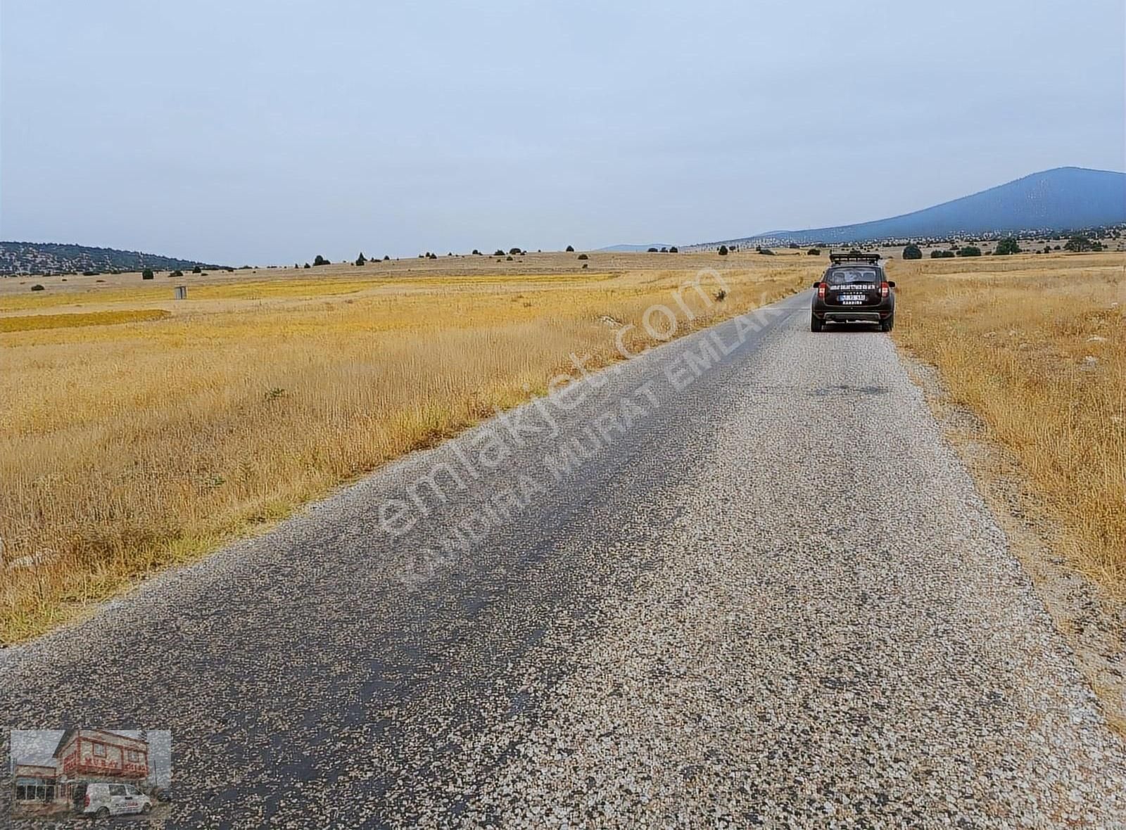 Çavdarhisar Zobu Köyü Satılık Bağ & Bahçe KÜTAHYA ÇAVDARHİSAR ZORLU KÖYÜ ANA ASFALTA CEPHE 5500 METRE YERİ