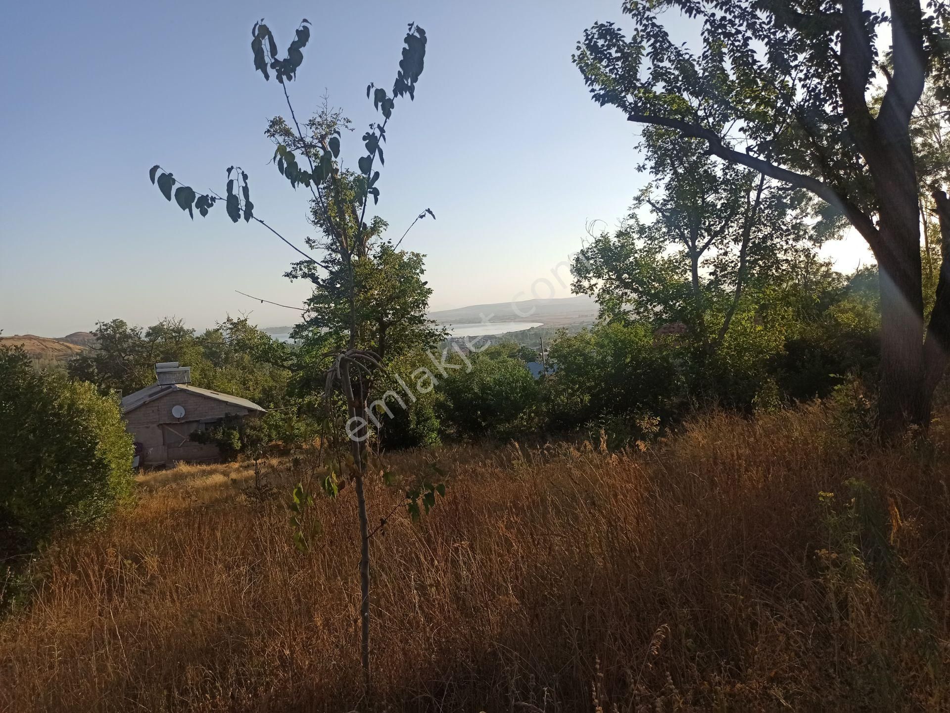 Gevaş Orta Satılık Konut İmarlı Gevaş Orta Mahallede Satılık Bahçe