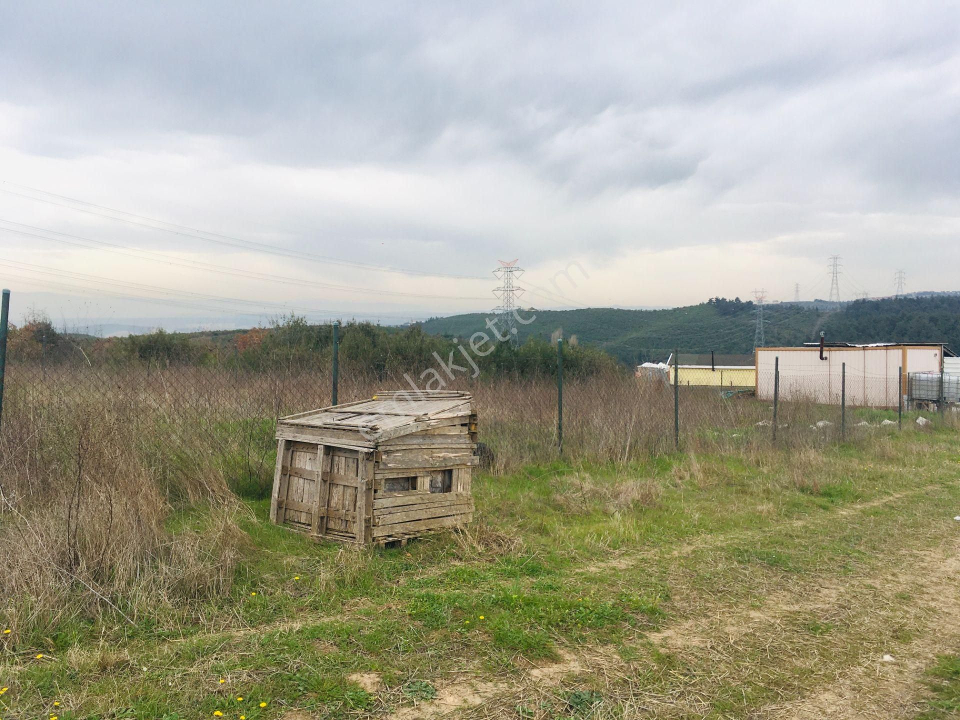 Göynüklüde Satılık 810 M2 Tarla Hissesi - Görsel 4