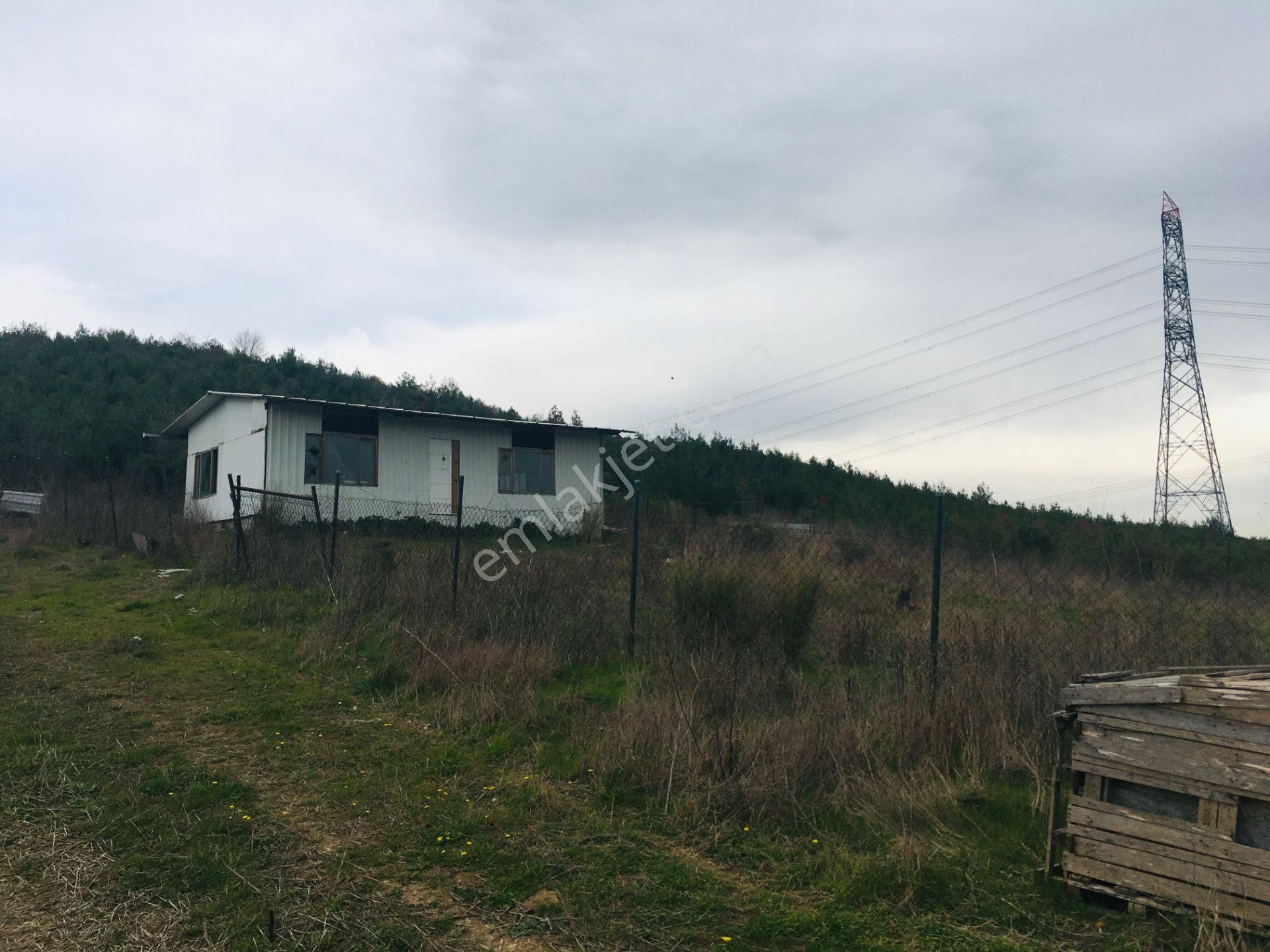 Göynüklüde Satılık 810 M2 Tarla Hissesi - Görsel 3