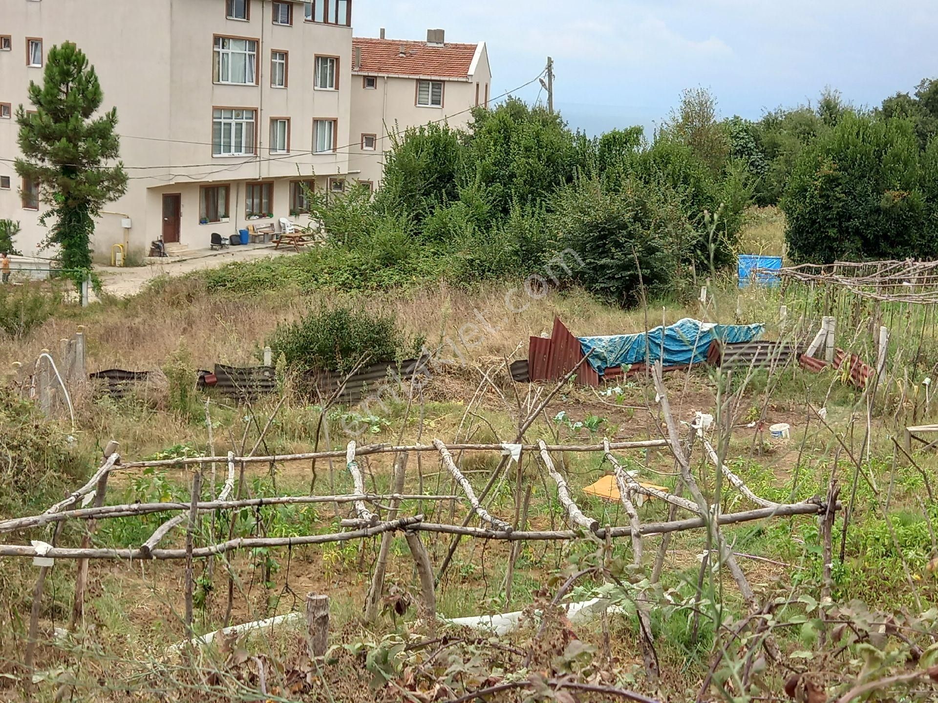 Sinop Merkez Gelincik Satılık Konut İmarlı  GELİNCİK MAHALLESİNDE ''FULL'' DENİZ MANZARALI KUPON ARSA 