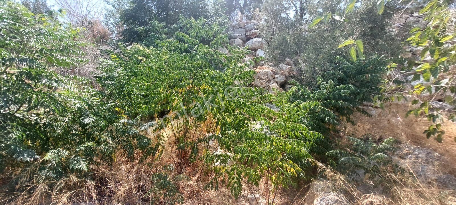 Müstakil 2+1 Ev Altı Dükkan Mini Bahçeli Satılık Limonlu Mah Erdemli - Görsel 19