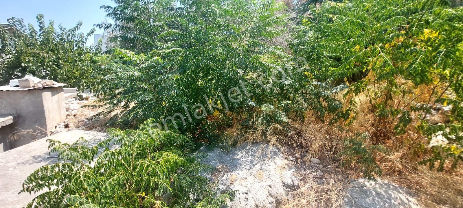 Müstakil 2+1 Ev Altı Dükkan Mini Bahçeli Satılık Limonlu Mah Erdemli - Görsel 25