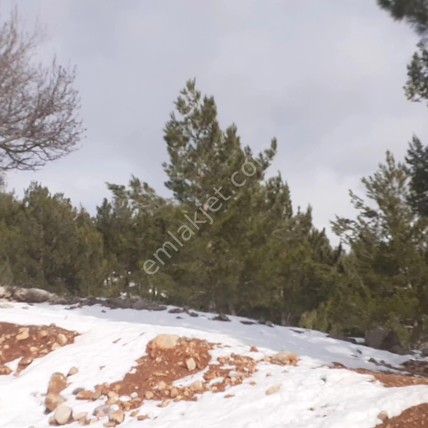 Pozantı Kar Emlaktan Yenikonacık Bozkırlı Mevkiinde Satılık 450m2 Arsa - Görsel 8