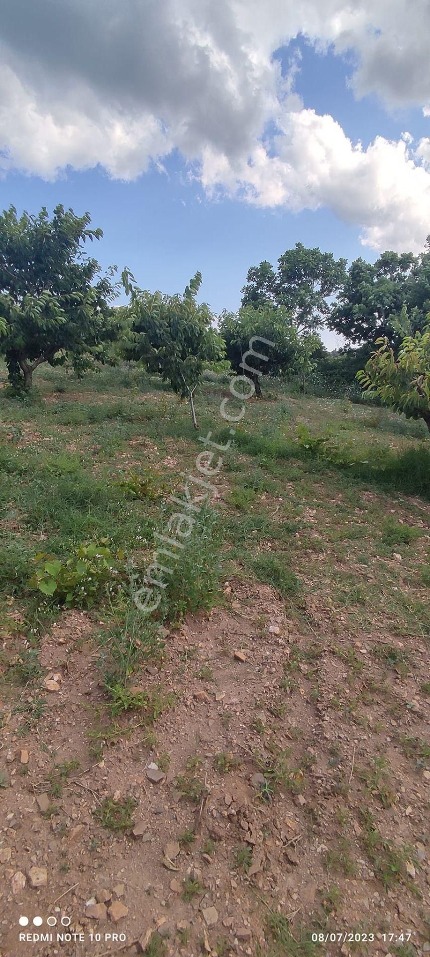https://imaj.emlakjet.com/listing/13900727/D30395571EEAD1BEC42AA6CEBDDC606C13900727.jpg