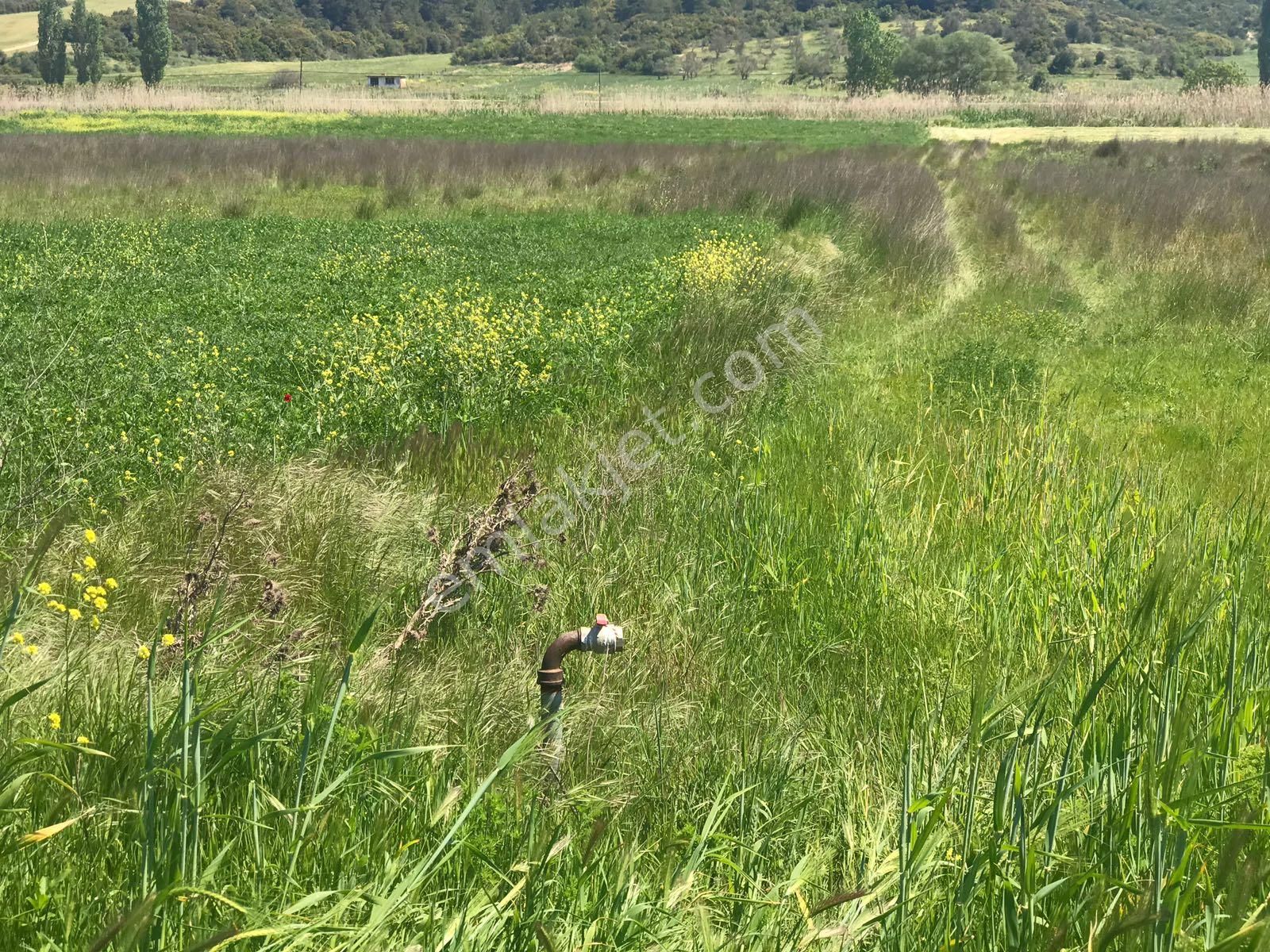 Çanakkale Eceabat Kumköy'de Sahibinden 2400 M2 Satılık Arsa. - Görsel 5
