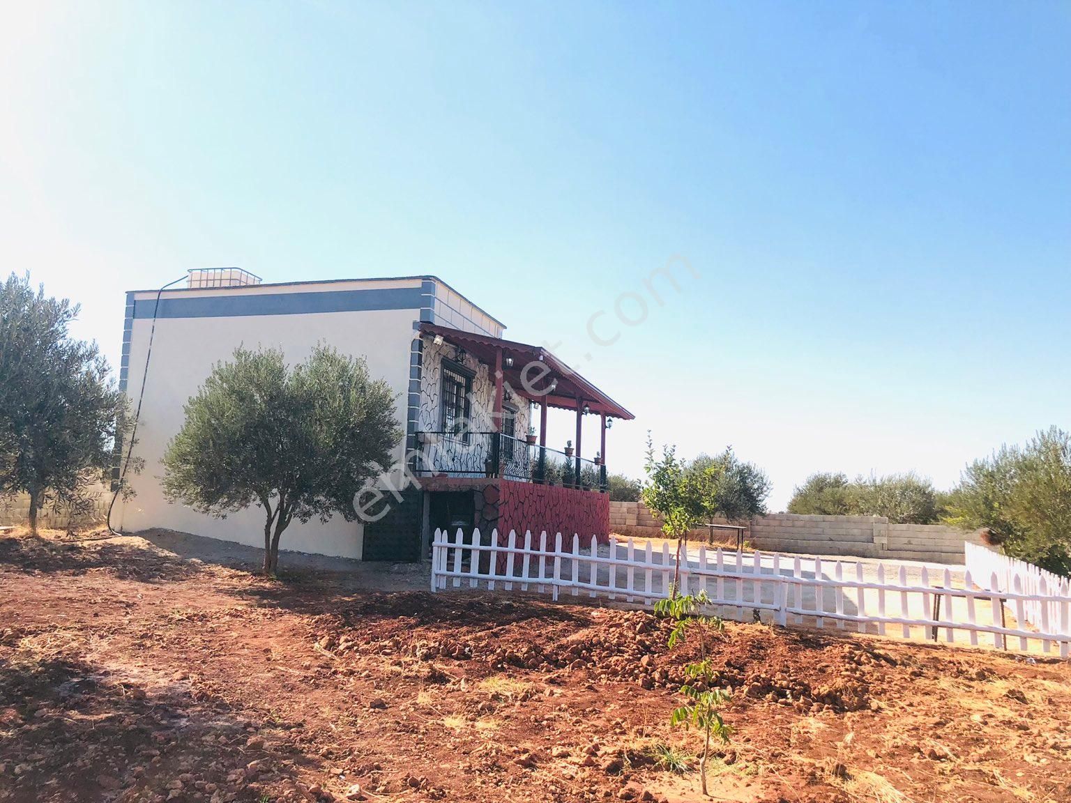 Şehre Yakın Bağevi - Görsel 7