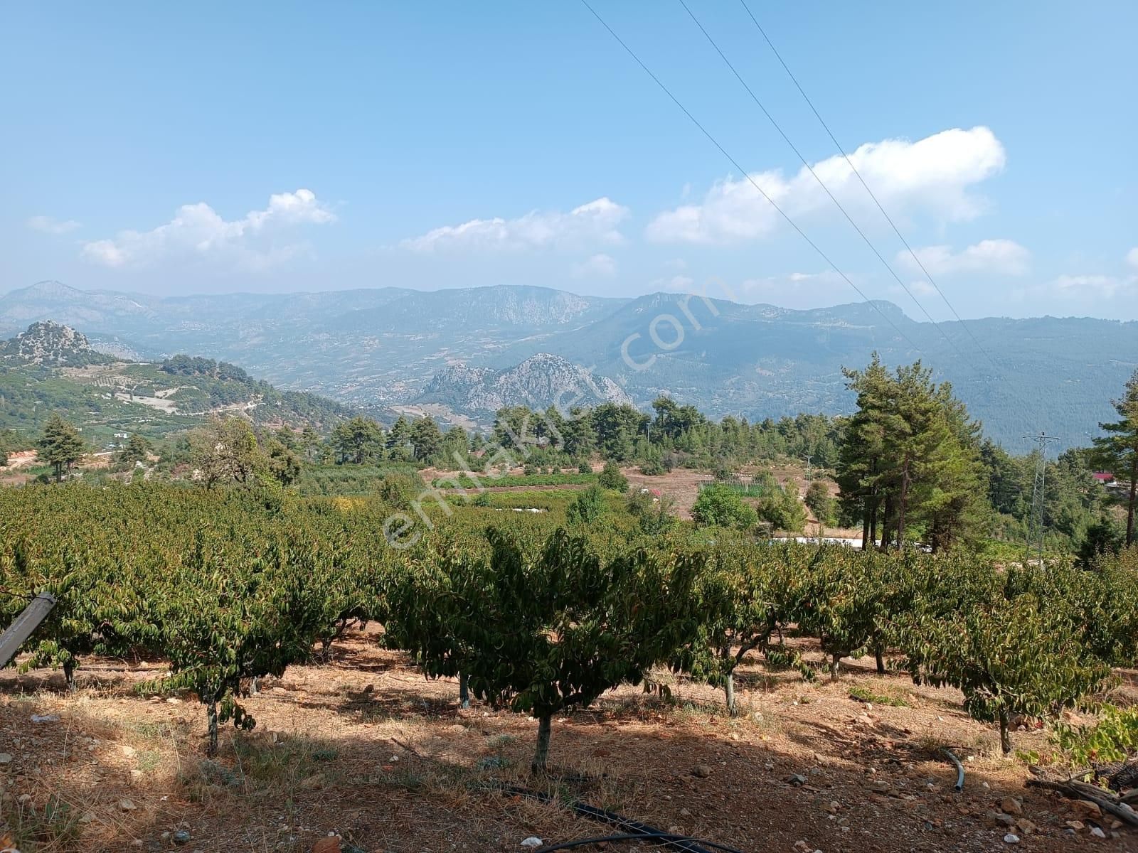 Erdemli Şahna Mahallesinde Satılık 4860 M2 Şeftali Bahçesi - Görsel 12