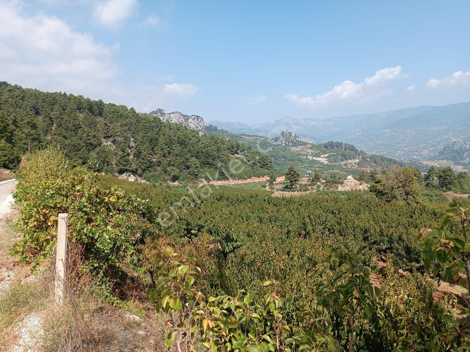 Erdemli Şahna Mahallesinde Satılık 4860 M2 Şeftali Bahçesi - Görsel 9