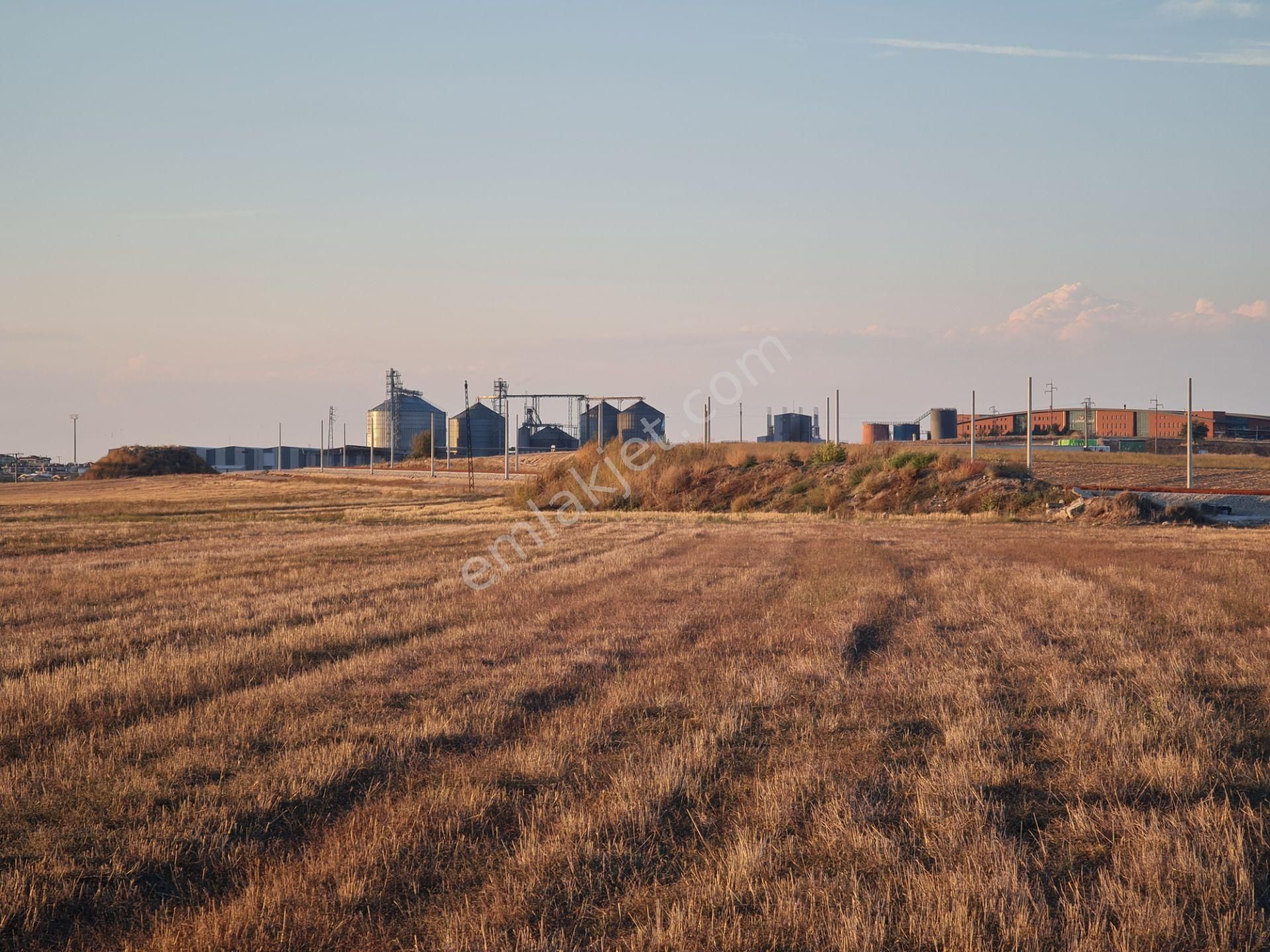 Gümrük Ve Sınıra Yakın & Sanayi Ve Lojistik İmarlı Arsa - Görsel 7