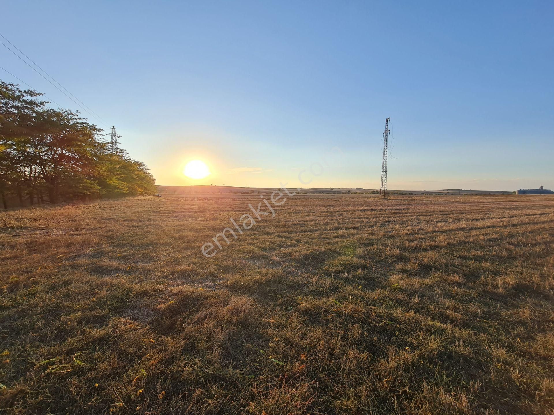 Gümrük Ve Sınıra Yakın & Sanayi Ve Lojistik İmarlı Arsa - Görsel 10