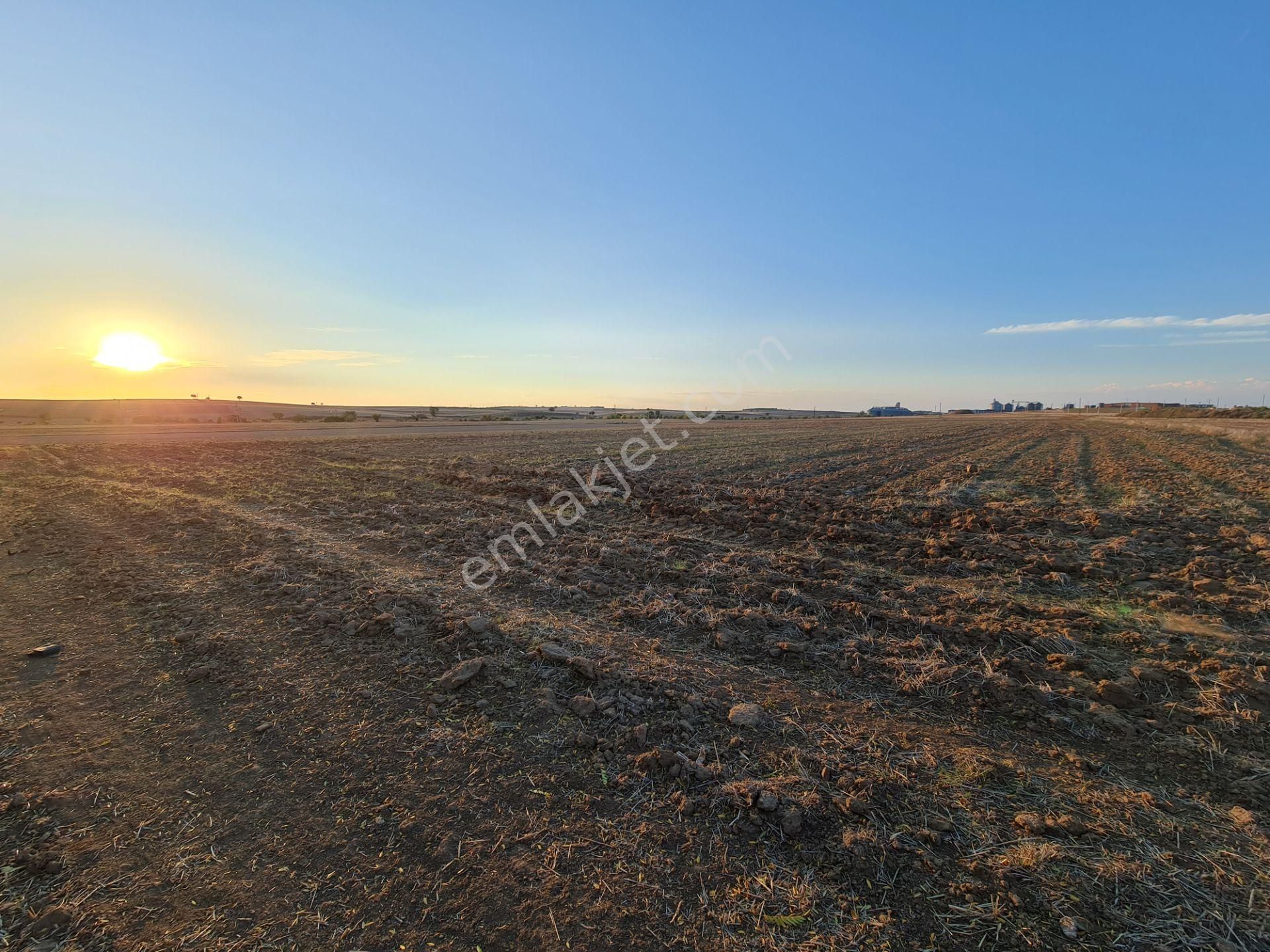 Gümrük Ve Sınıra Yakın & Sanayi Ve Lojistik İmarlı Arsa - Görsel 22