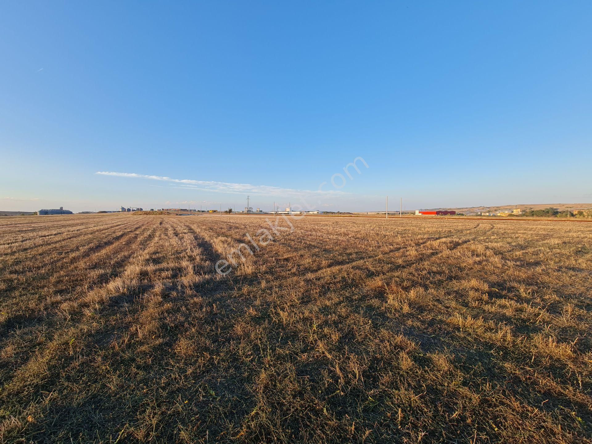 Gümrük Ve Sınıra Yakın & Sanayi Ve Lojistik İmarlı Arsa - Görsel 17