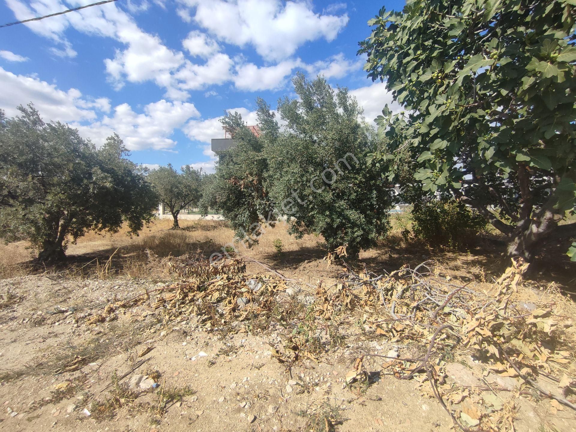 Acar Yatırımdan 410 M² % 20 Villa İmarlı Kovalık Mevkinde Arsa - Görsel 2